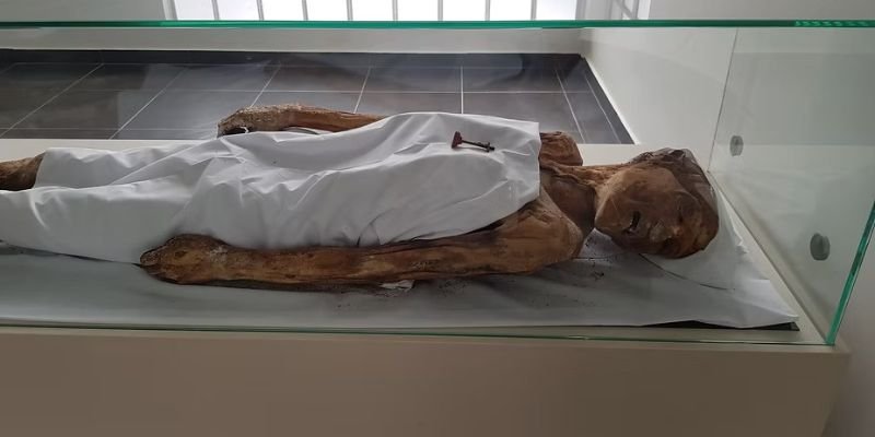 El misterio de las momias naturales en el municipio de San Bernardo