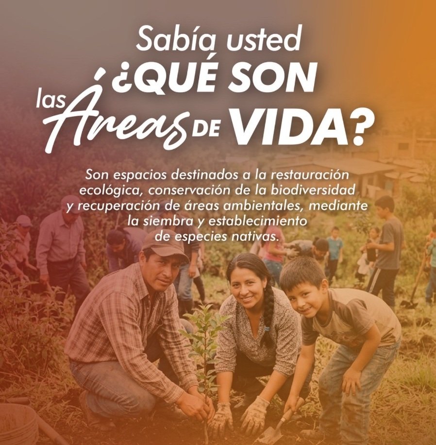 Qué son las ‘Áreas de Vida’