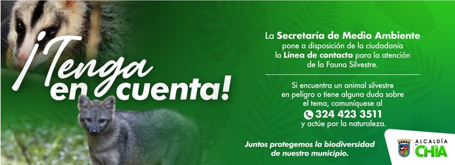 banner fauna